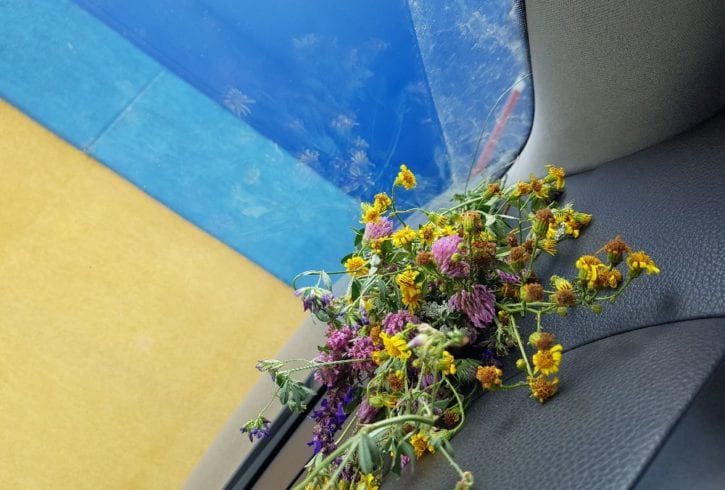 Caut de munca în cleaning, housekeeper, îngrijire batrani!