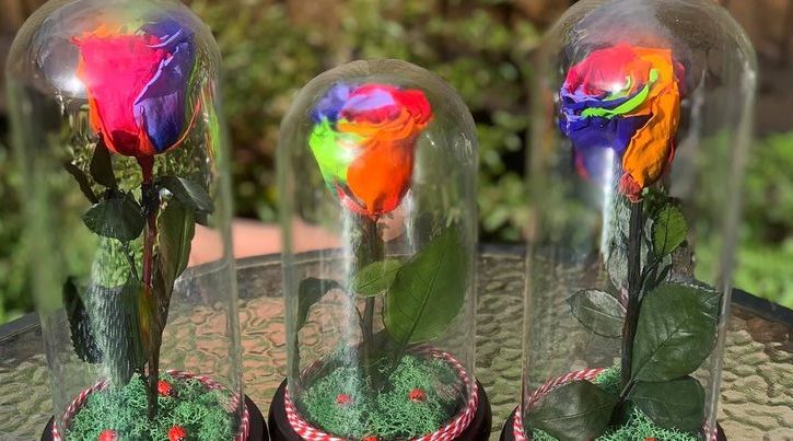 AMS Flowers - Aranjamente Trandafiri Sapun Criogenati in Chelmsford UK AMS Flowers - Aranjamente Trandafiri Sapun Criogenati in Chelmsford UK