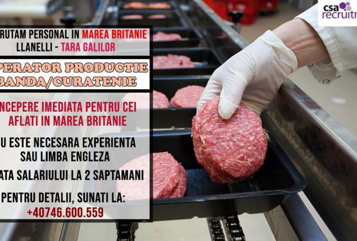 Angajam muncitori calificati si necalificati Llanelli zona WALES Angajam muncitori calificati si necalificati Llanelli zona WALES