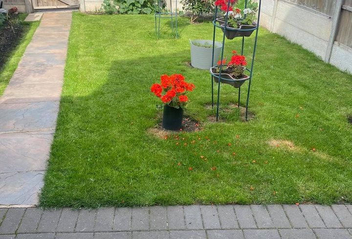 Chirie Casa 4 Dormitoare in Tamworth B78