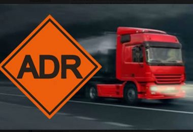 Cursuri CPC - White Stone School of Transport Londra UK