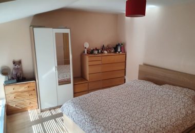 Inchiriez o camera dubla pentru un cuplu Colindale