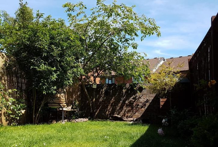 chirie casa cu un dormitor Hayes