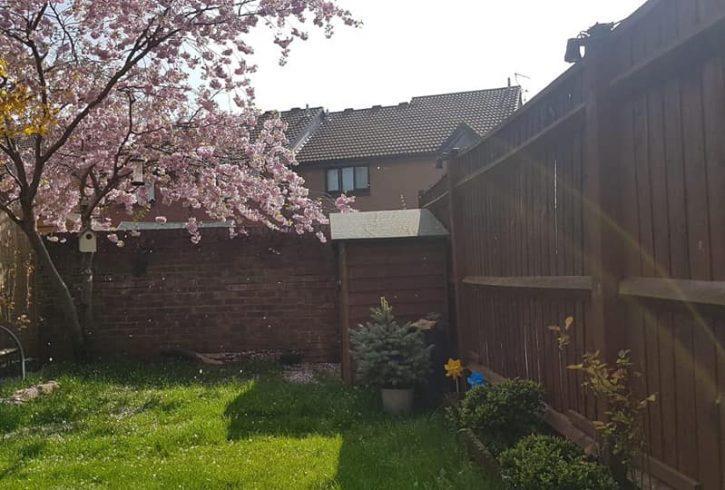 chirie casa cu un dormitor Hayes