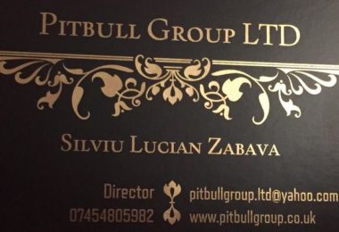 Pitbull Group LTD
