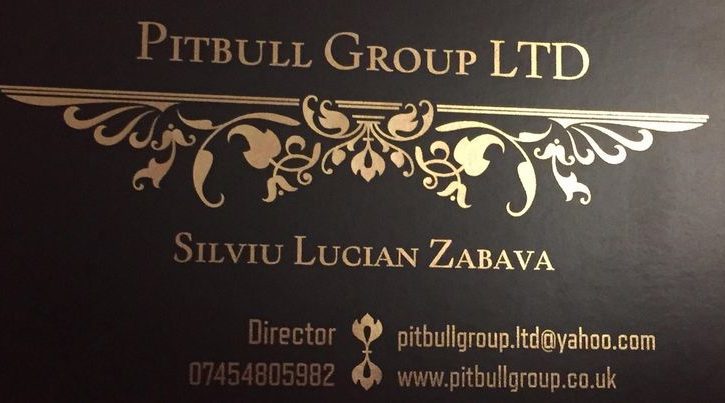 Pitbull Group LTD