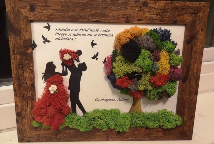 Tablou cu Licheni si Cadouri Personalizate in Exeter UK